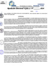 Vista preliminar de documento Resolucion Directoral N° 003557-2024