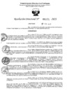 Vista preliminar de documento 5172