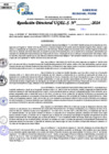 Vista preliminar de documento Resolucion Directoral N° 003572-2024