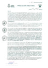Vista preliminar de documento RD N° 333 -2024/GRC/DIRESA/DG