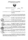 Vista preliminar de documento 5194