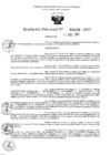 Vista preliminar de documento 5196