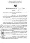 Vista preliminar de documento 5202