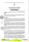 Vista preliminar de documento RAF-2024-049