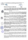 Vista preliminar de documento Resolucion Directoral N° 003597-2024