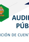 Vista preliminar de documento audiencia