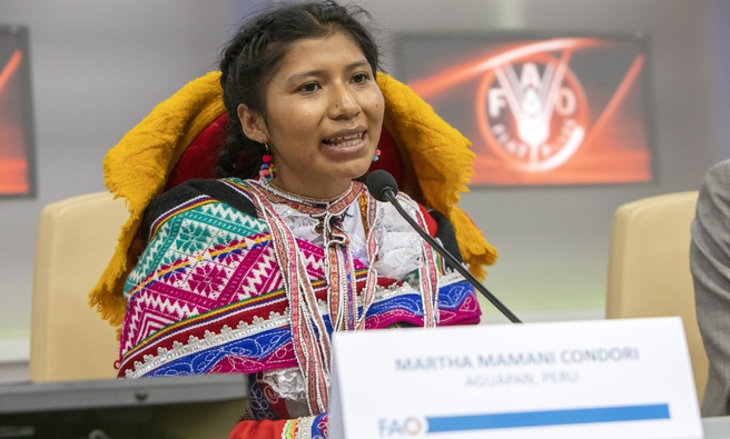 El Perú lideró celebración del primer Día Internacional de la Papa en la FAO