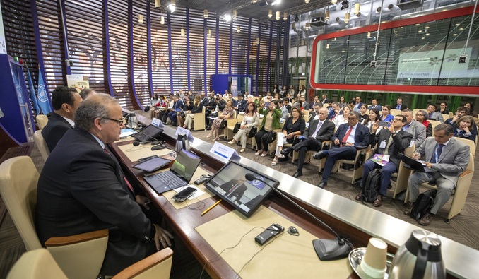 El Perú lideró celebración del primer Día Internacional de la Papa en la FAO