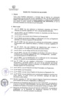 Vista preliminar de documento BASES - PROCESO CAS N° 42