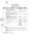 Vista preliminar de documento CRONOGRAMA - PROCESO CAS N° 43-2024.pdf