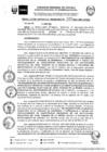Vista preliminar de documento RGR0031-2024-GRDS