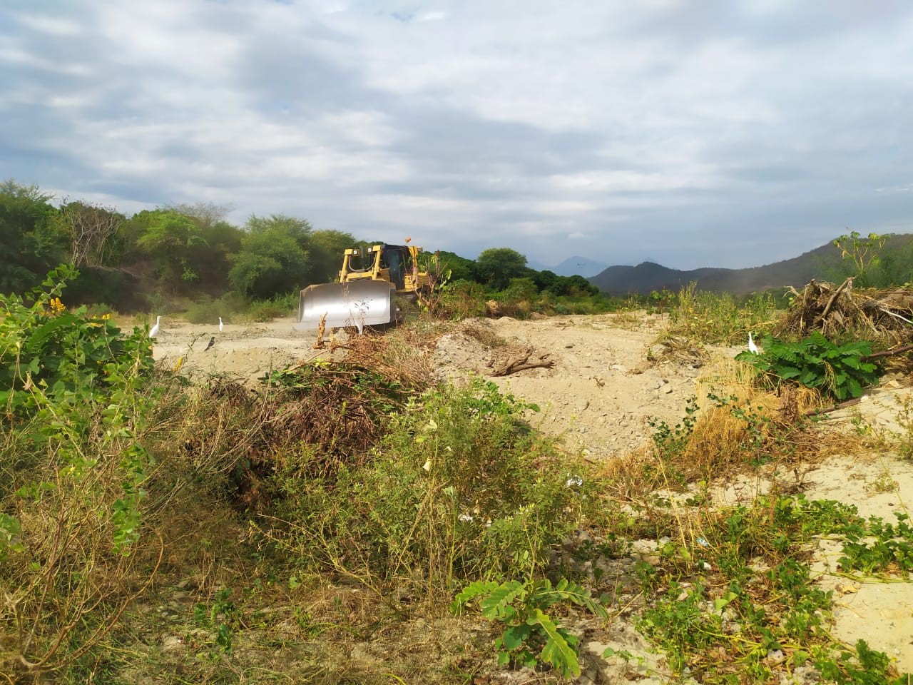 Con puente Bailey GORE evitar aislamiento de tres centros poblados de Tambogrande