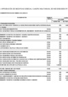 Vista preliminar de documento Anexo N° 06: Cuadro Multianual de Necesidades 2024-44