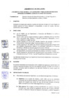 Vista preliminar de documento LINEAMIENTOS N 01-2024-VMJ