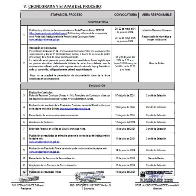 Cronograma del Proceso CAS