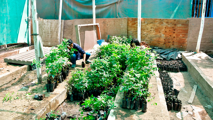 Fotos: Oficina de Imagen Institucional de la GRALL.