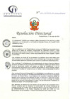 Vista preliminar de documento RD N°122-05-2024-DE-HCLLH-MINSA