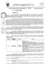 Vista preliminar de documento rer-329-2024-gore-ica-gr