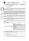 Vista preliminar de documento rer-328-2024-gore-ica-gr
