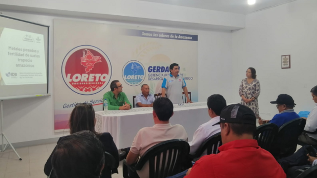 Loreto: presentan estudio de contenido de cadmio en la producción del cacao y chocolate en la provincia Ramón Castilla