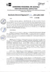 Vista preliminar de documento RDR N° 234-2024-GRU-DRA