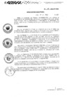 Vista preliminar de documento R.D.N.196-2024-INSN-DG