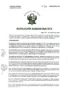 Vista preliminar de documento R.A. Nº531-2024-HNAL-OP