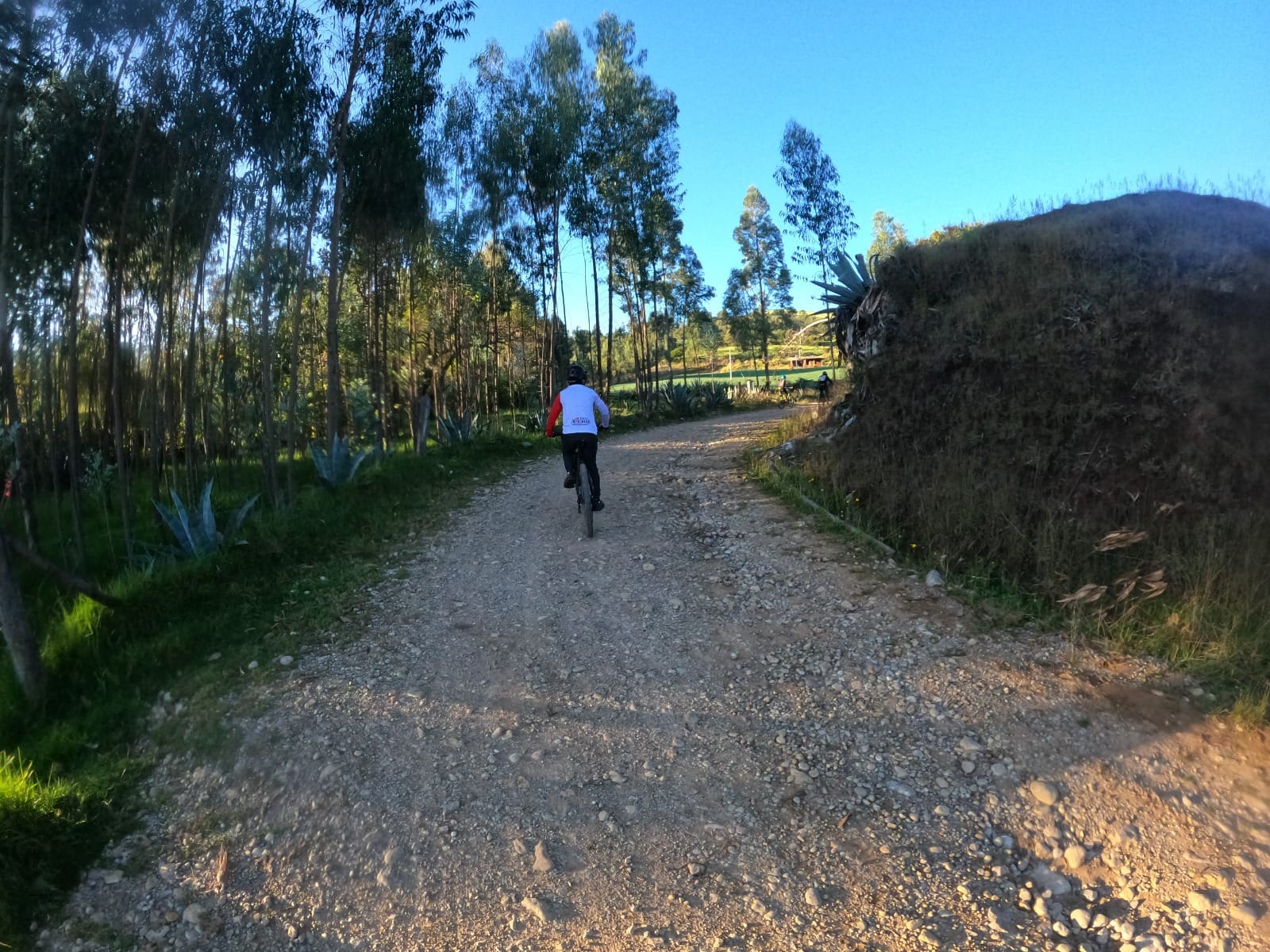 Paseo en bicicleta ¡un éxito!