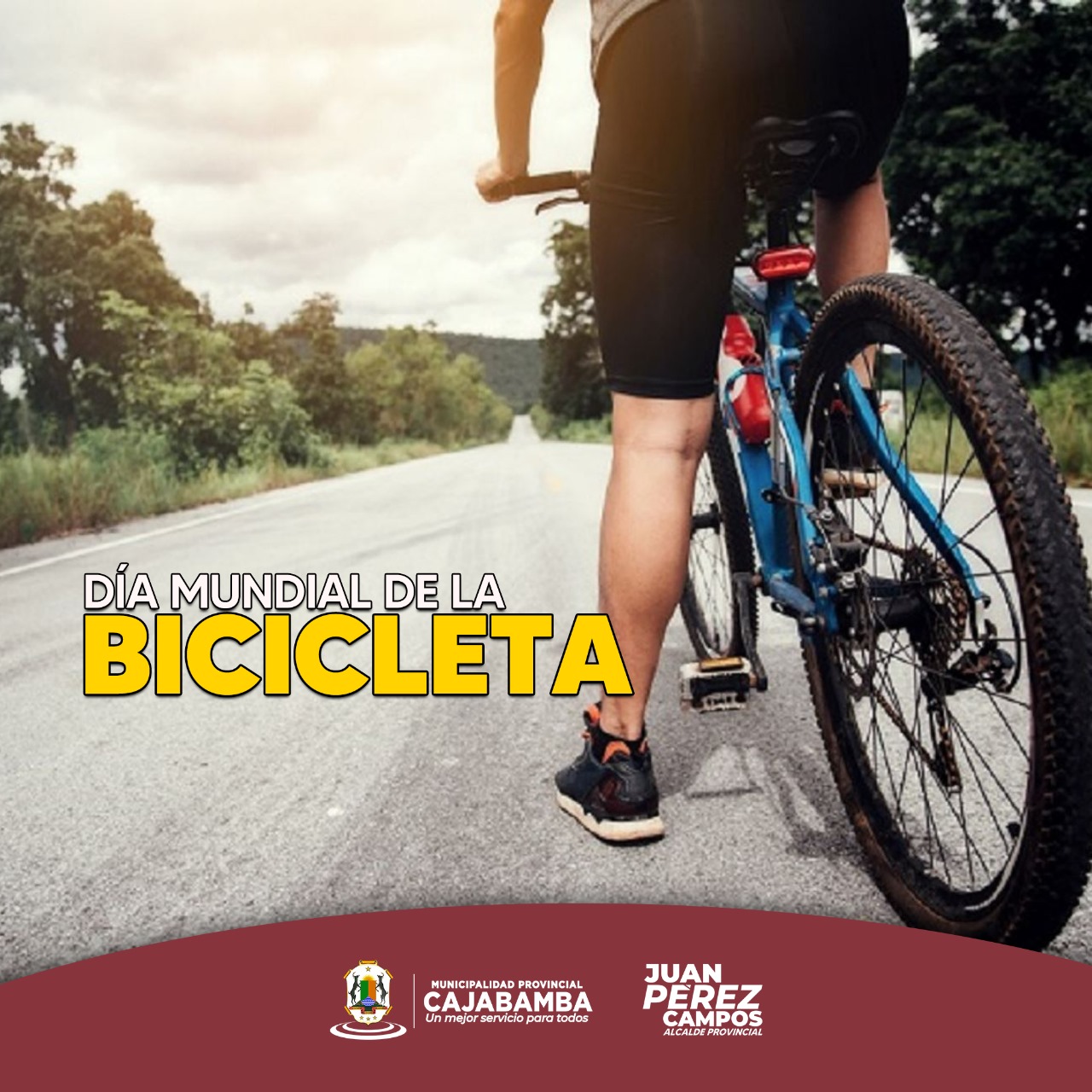 ¡Día mundial de la bicicleta!