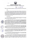 Vista preliminar de documento RDR N° 264-2024-03-06-2024