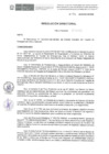 Vista preliminar de documento RD-156-2024-DE-HEVES