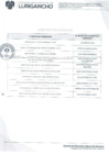 Vista preliminar de documento Agentes Participantes - Presupuesto Participativo 2025