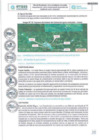 Vista preliminar de documento SAN MARTIN - PMO - 2parte