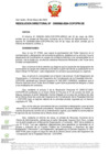 Vista preliminar de documento RD Nº D000062-2024-DE