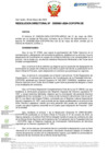Vista preliminar de documento RD Nº D000061-2024-DE
