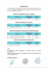 Vista preliminar de documento COMUNICADO 02
