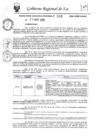 Vista preliminar de documento rer-339-2024-gore-ica-gr
