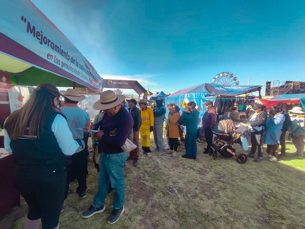 Criadores de ovino de Candarave y Tarata destacan en Feria Ganadera 