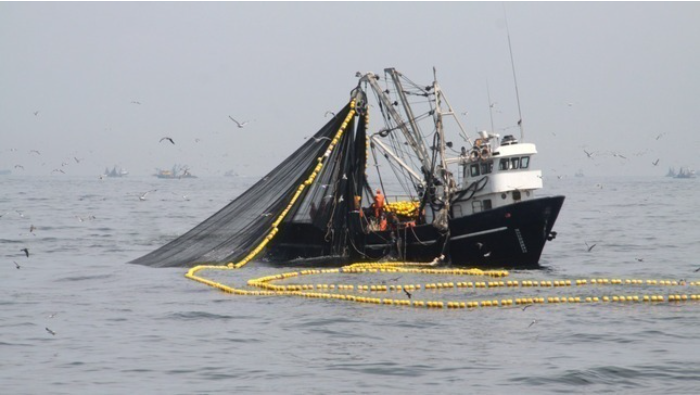 El Ministerio de la Producción (PRODUCE) confirmó la descarga de 2 287 955 toneladas del recurso anchoveta