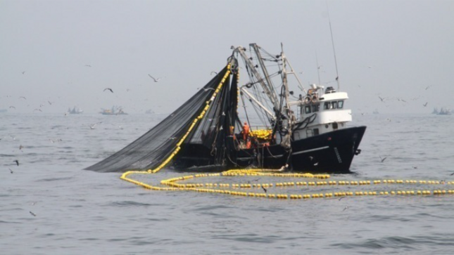El Ministerio de la Producción (PRODUCE) confirmó la descarga de 2 287 955 toneladas del recurso anchoveta