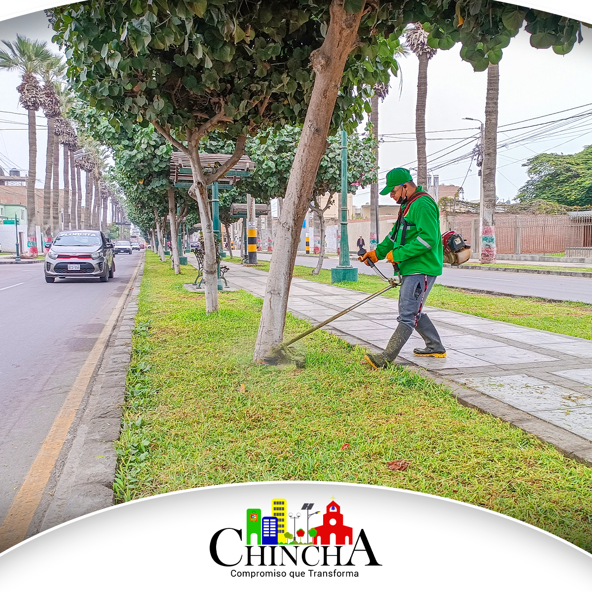El día de hoy se realizó el mantenimiento y limpieza de áreas verdes de las bernas centrales y laterales de la Av.Luis Galvéz Chipoco.
Este trabajo se viene realizando a diario en diferentes espacios públicos de nuestra Provincia, para así seguir embelleciendo las áreas verdes de nuestra ciudad.
Esperemos que nuestros vecinos chinchanos cuiden de manera responsable el ornato de nuestra Provincia, porque ¡Juntos podemos mantener nuestro entorno en su mejor estado!.
*#MunicipalidadProvincialDeChincha #CompromisoQueTransforma #CesarCarranzaFalla*
Síguenos en TikTok: [@muniprovindechincha](https://www.tiktok.com/@muniprovindechincha)