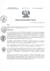Vista preliminar de documento R.D N° 167-2024-HMA-DG