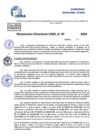 Vista preliminar de documento Resolucion Directoral N° 003625-2024