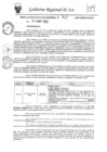 Vista preliminar de documento rer-347-2024-gore-ica-gr