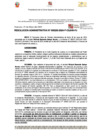 Vista preliminar de documento 230