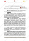Vista preliminar de documento 240