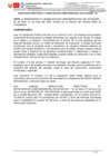 Vista preliminar de documento RESOLUCION DIRECTORAL N° 000393-2024