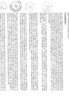 Vista preliminar de documento RESOLUCION ADMINISTRATIVA N°100-2024-GRH-HTM-DA-UP