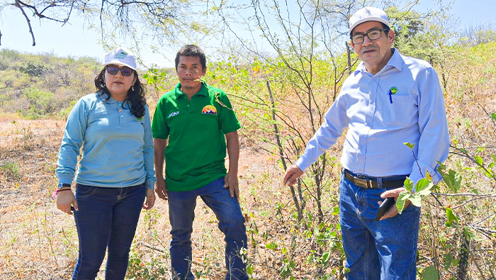 FORESTAL 