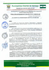 Vista preliminar de documento RA206